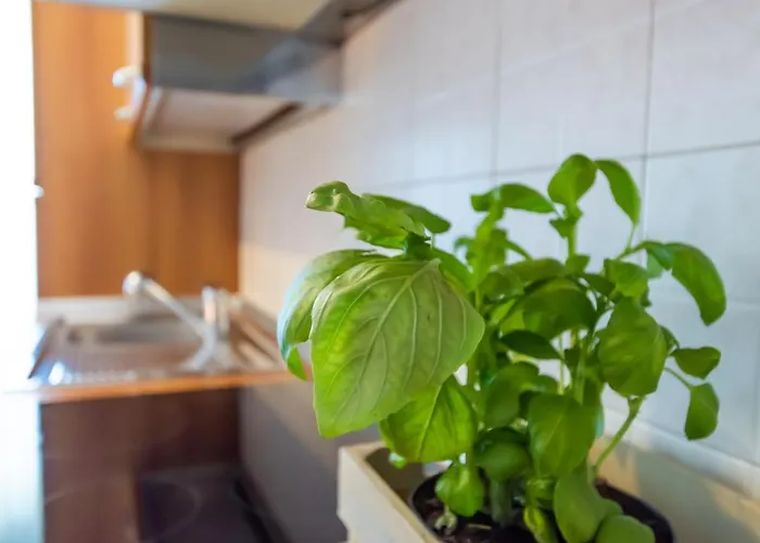 Apartament Marialuisa's - Le Rive Del